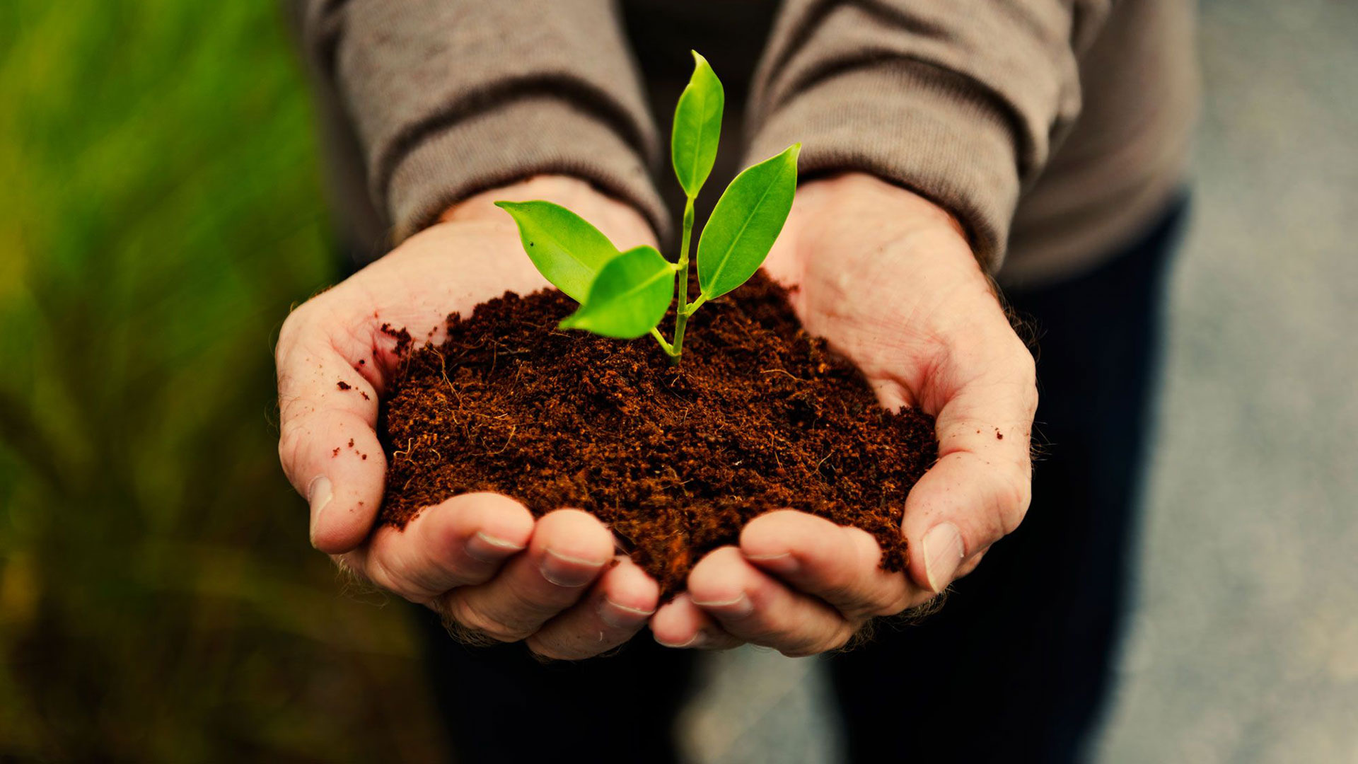 Multaa kotiin toimitus